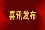 安品獲評(píng)2022年度國(guó)家知識(shí)產(chǎn)權(quán)優(yōu)勢(shì)企業(yè)